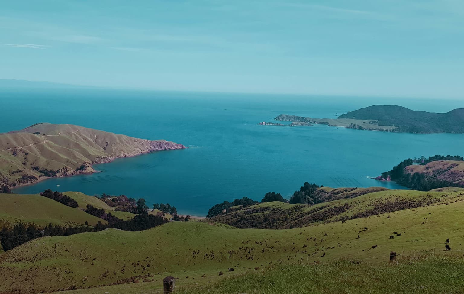 bg image https://cebytb37gqewrsv4.public.blob.vercel-storage.com/Program%20Header%20-%20new-zealand-internships%20-%20biology%20research-s1N58SwCCSeWtcZqclRkt9eySDqOgn.jpg