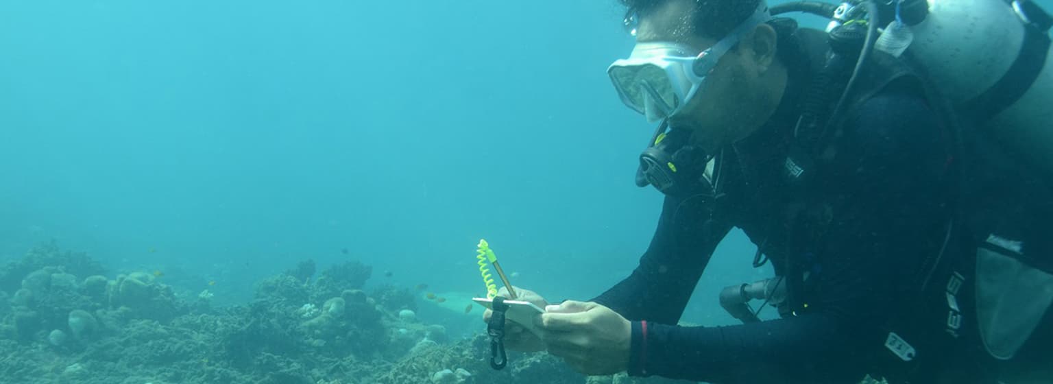 bg image https://cebytb37gqewrsv4.public.blob.vercel-storage.com/bali-internship-indonesia-28761-z3AoFiE3DRGTBZeGfJEAG3bsTcLhvO.jpg