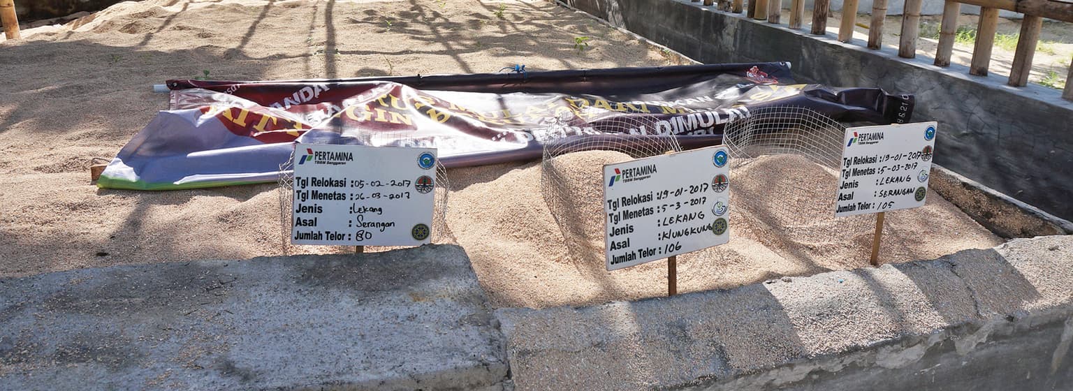 bg image https://cebytb37gqewrsv4.public.blob.vercel-storage.com/bali-volunteer-indonesia-2030-7D5547smqMom3wtX9KQIgJ7ZOwChce.jpg