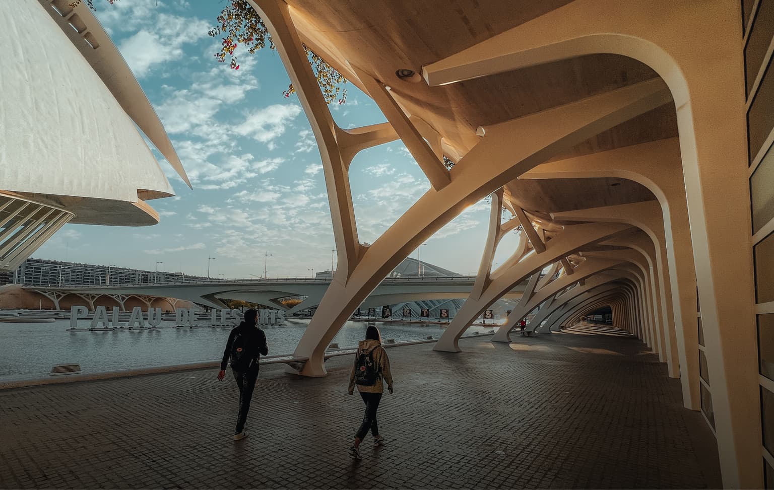 bg image https://cebytb37gqewrsv4.public.blob.vercel-storage.com/valencia-academic-internship-program-header-036RP2HntQJXGZ4Xgn7gEZzW9O0CCK.jpg